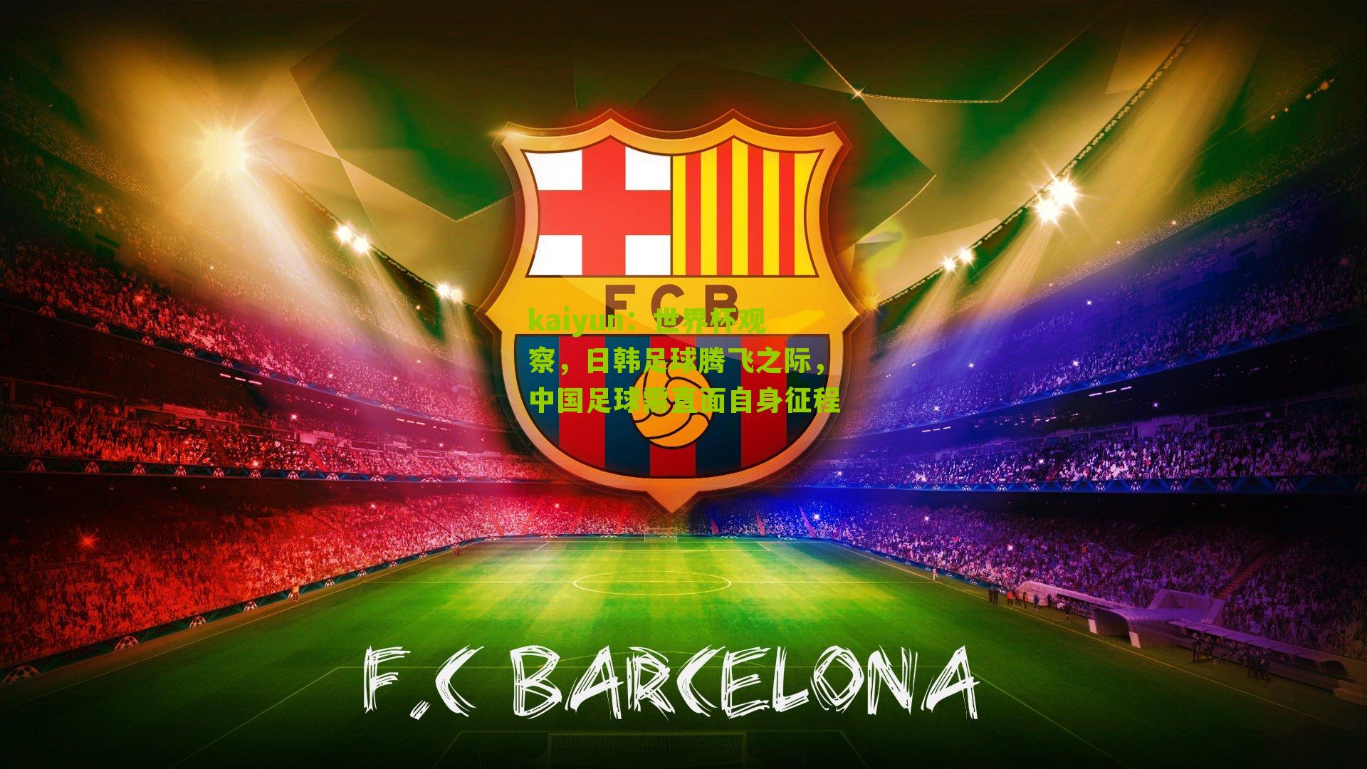 世界杯观察,日韩足球腾飞之际,中国足球需直面自身征程